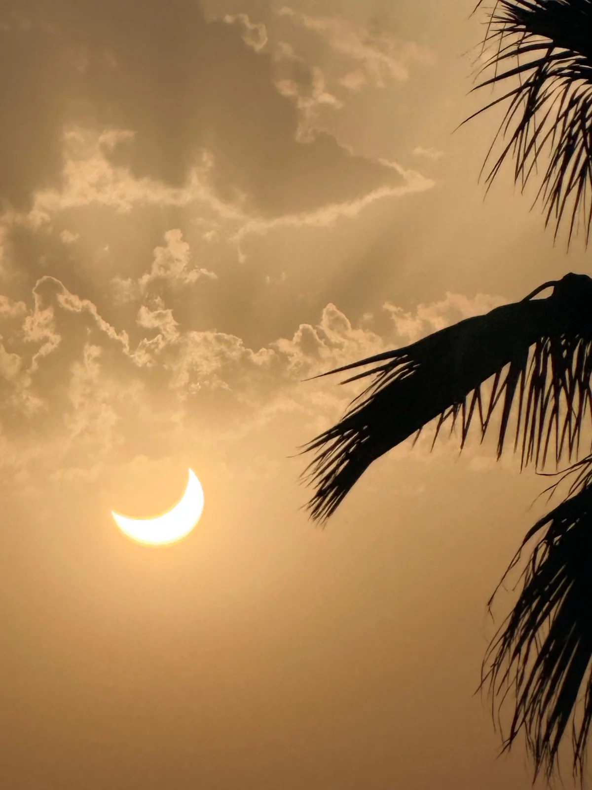 Eclipse en Agafay