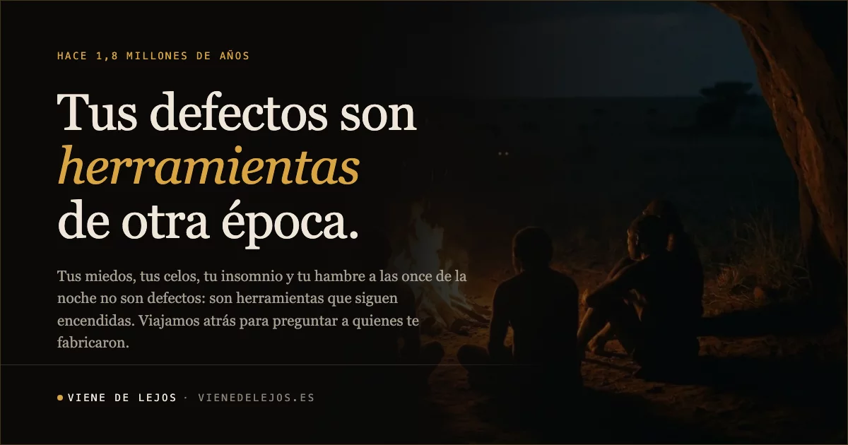 Banner vienedelejos.es